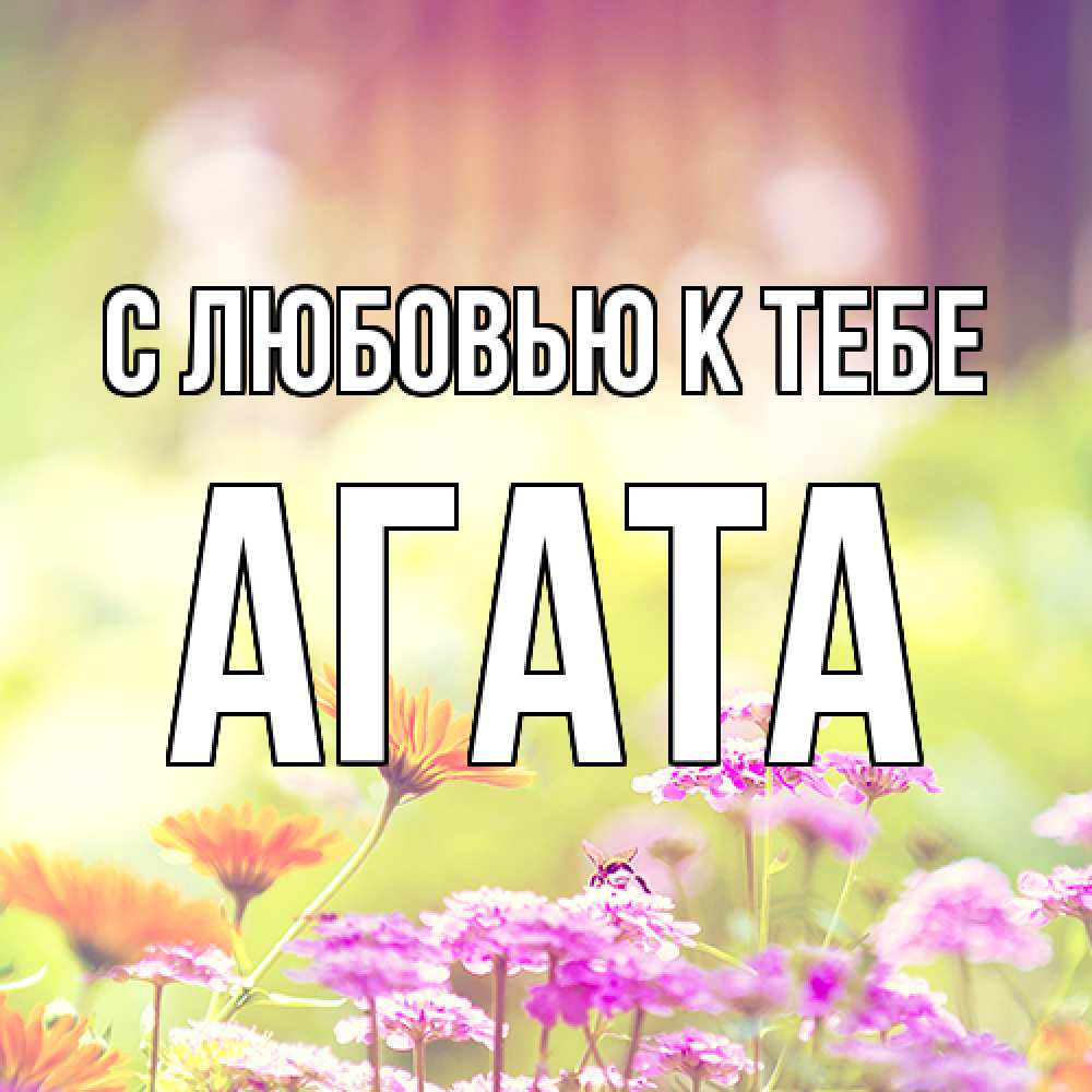 Открытка  с именем. Агата, С любовью к тебе  
