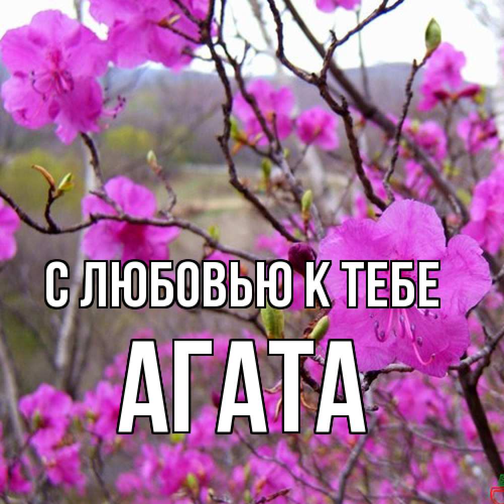 Открытка  с именем. Агата, С любовью к тебе  