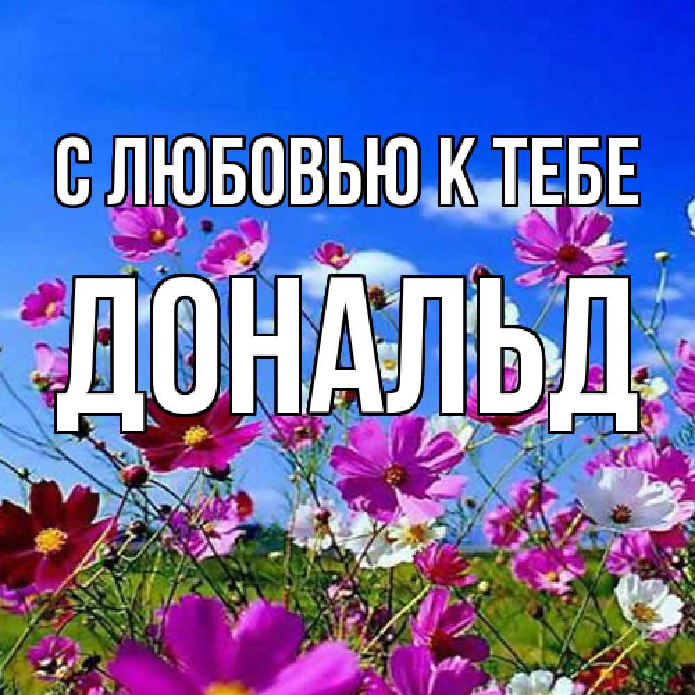 Открытка  с именем. Дональд, С любовью к тебе  