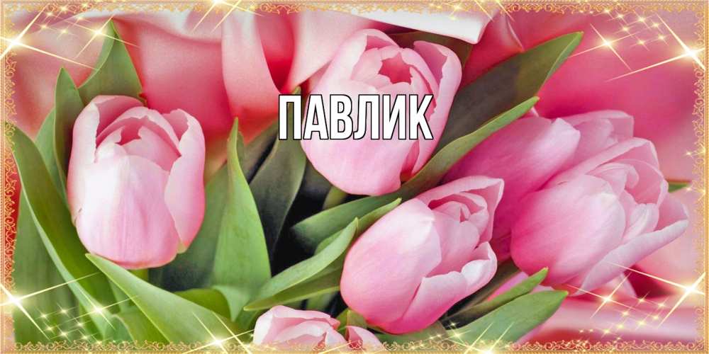 Открытка  с именем. Павлик, Главная  