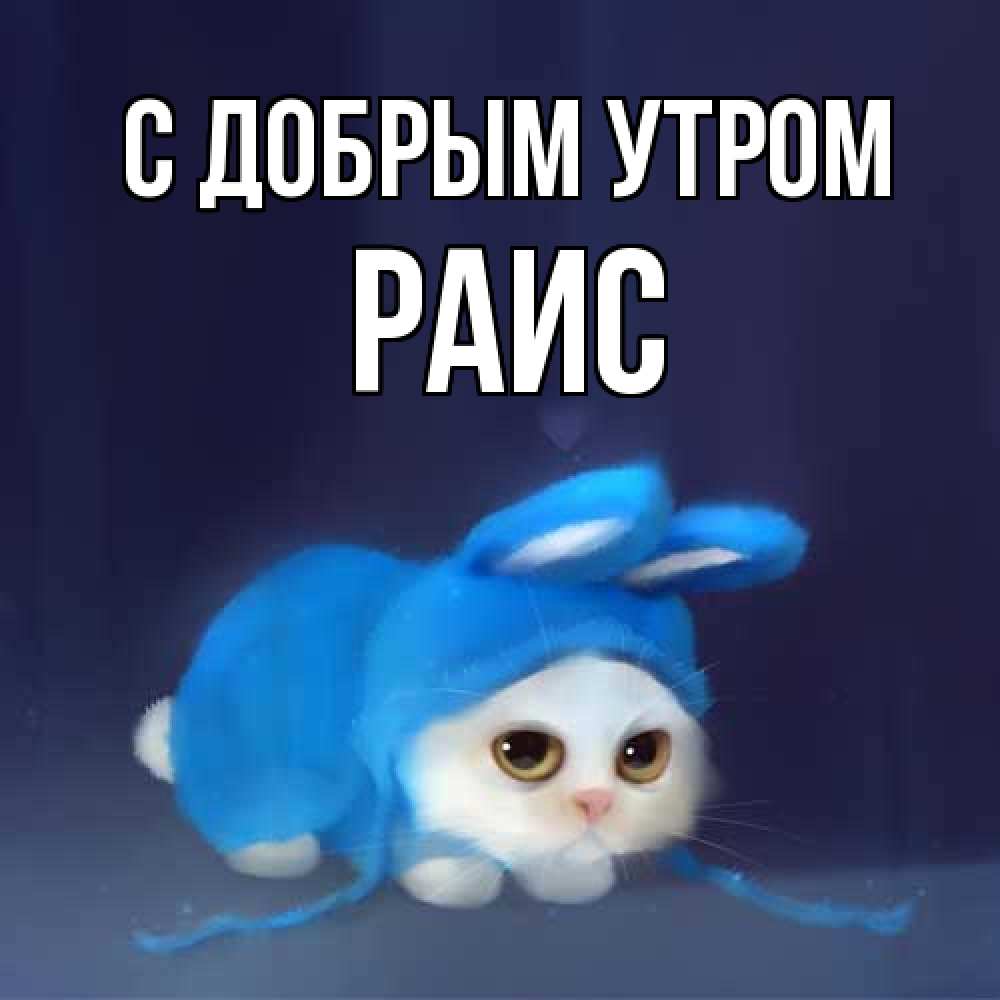 Открытка  с именем. Раис, С добрым утром  