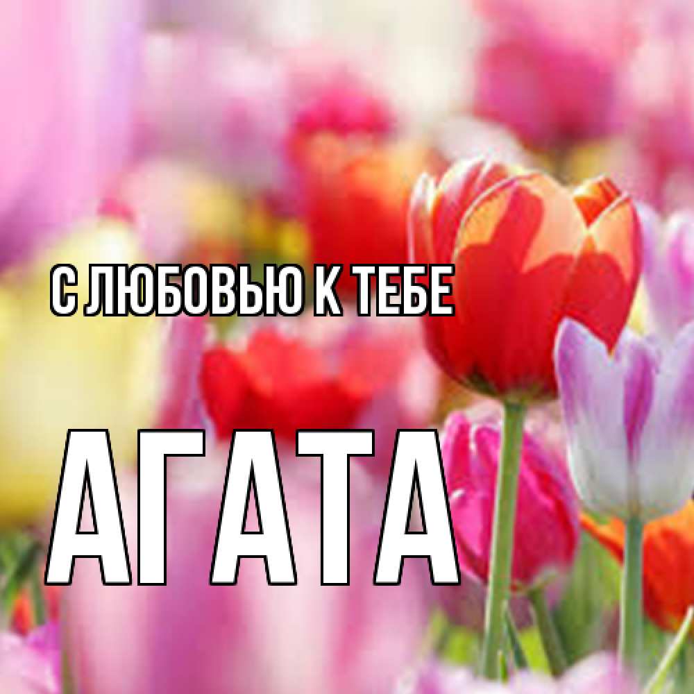 Открытка  с именем. Агата, С любовью к тебе  