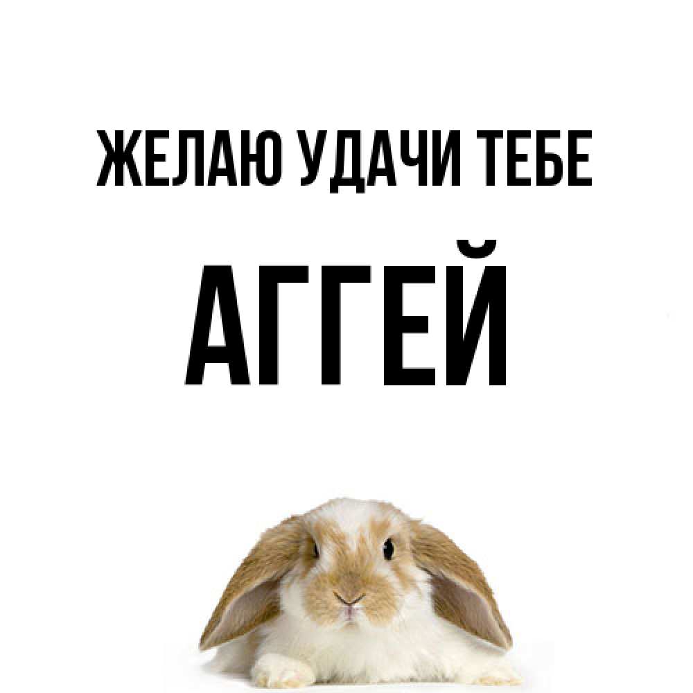 Открытка  с именем. Аггей, Желаю удачи тебе  