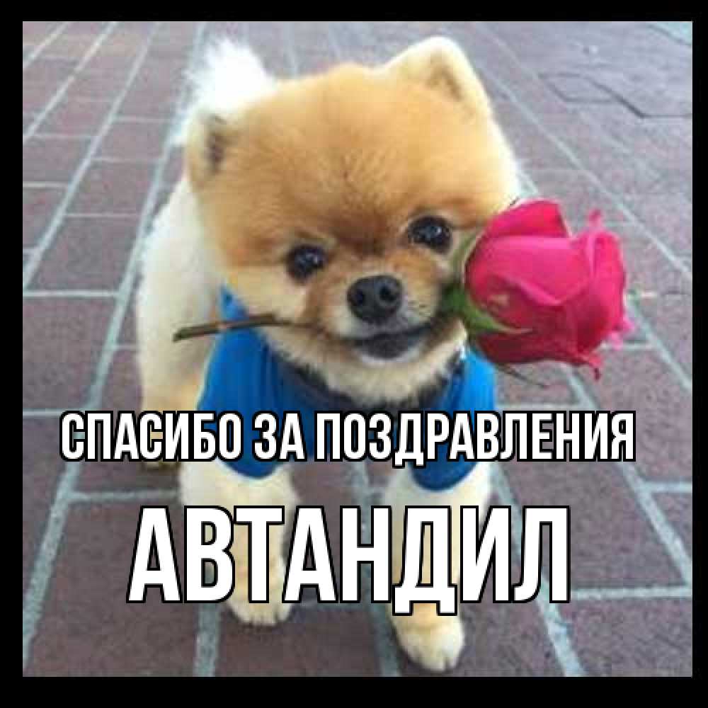 Открытка  с именем. Автандил, Спасибо за поздравления  