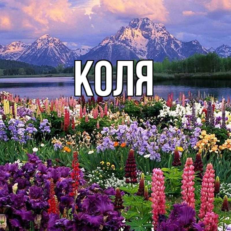 Картинка  с именем , коля