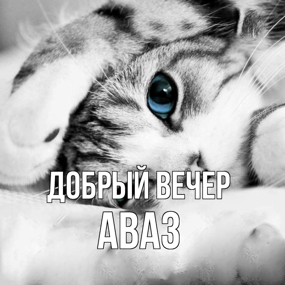Открытка  с именем. Аваз, Добрый вечер  