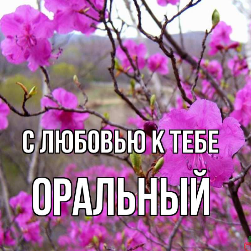 Картинка С любовью к тебе, ОРАЛЬНЫЙ