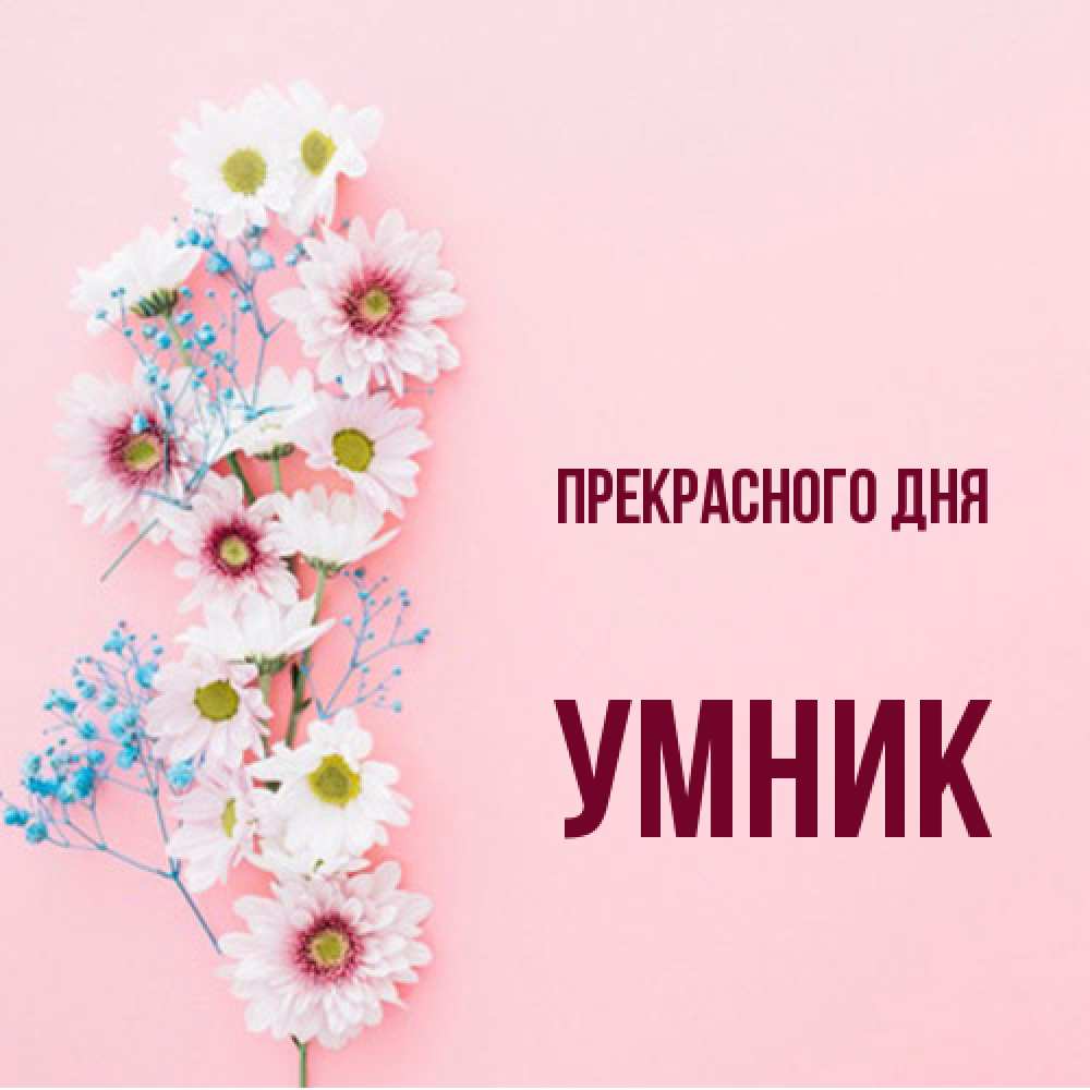 Открытка  с именем. Умник, Прекрасного дня  