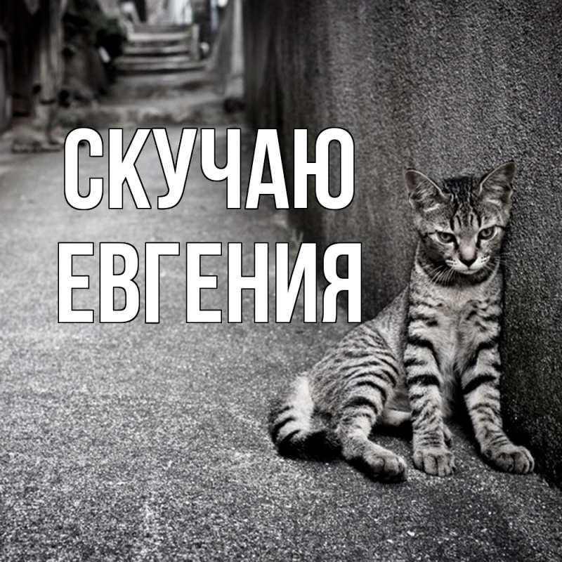 Картинка Скучаю, Евгения