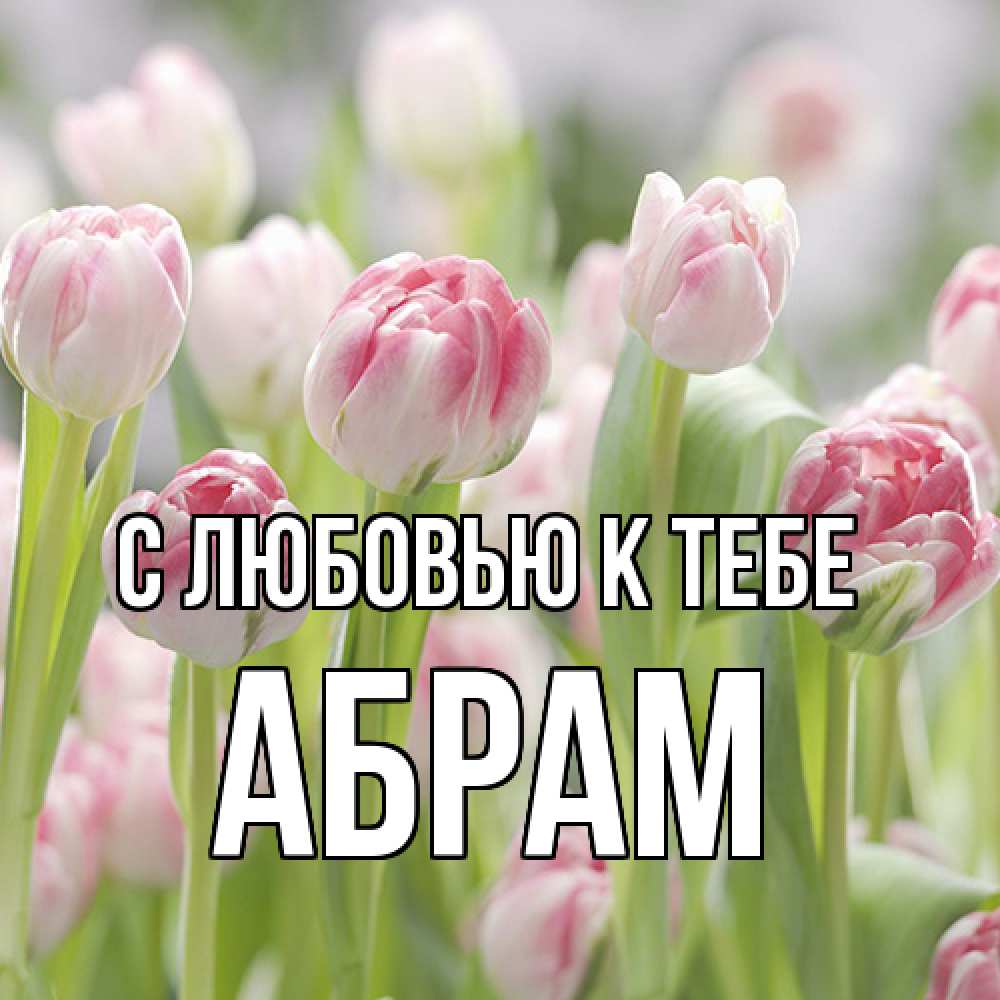 Открытка  с именем. Абрам, С любовью к тебе  