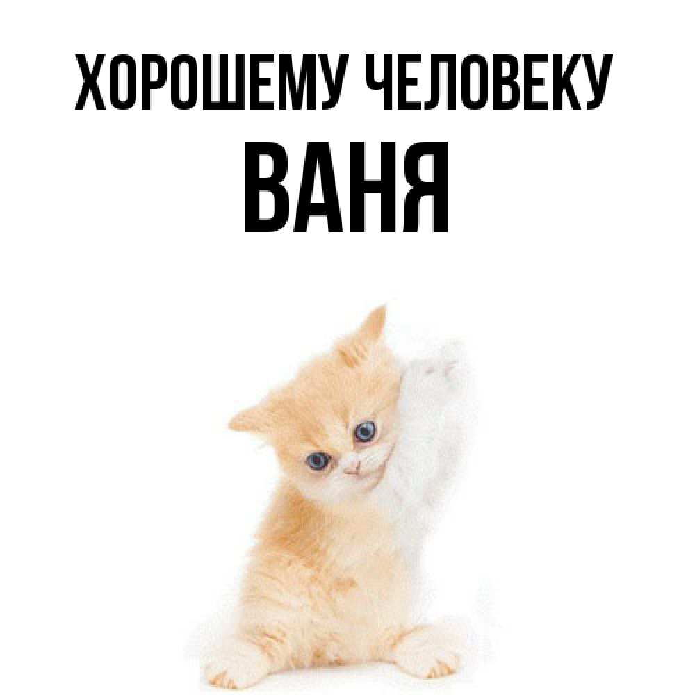 Открытка  с именем. ваня, Хорошему человеку  