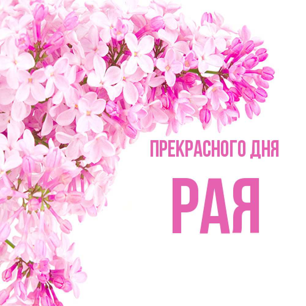 Открытка  с именем. Рая, Прекрасного дня  
