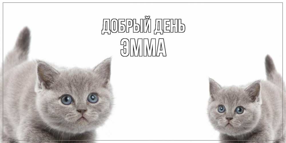 Открытка  с именем. Эмма, Добрый день  