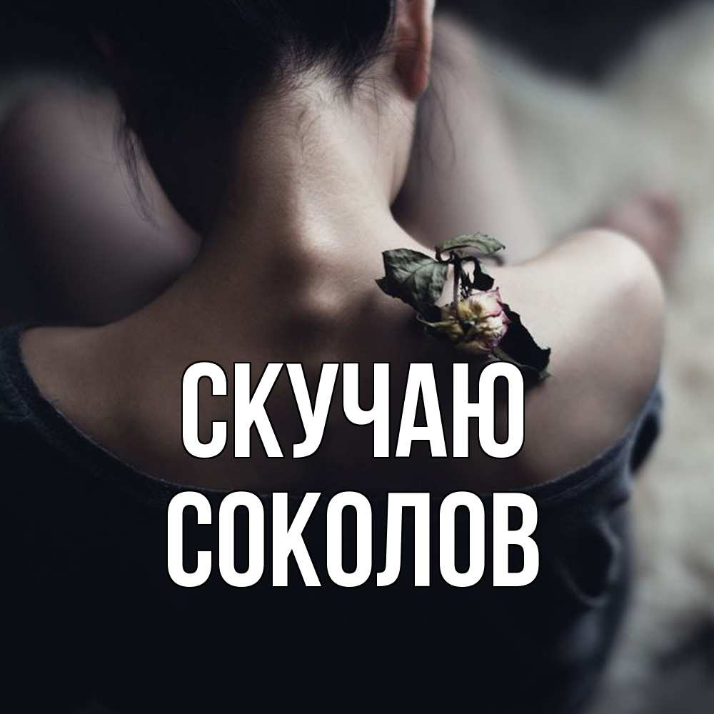Открытка  с именем. Соколов, Скучаю  