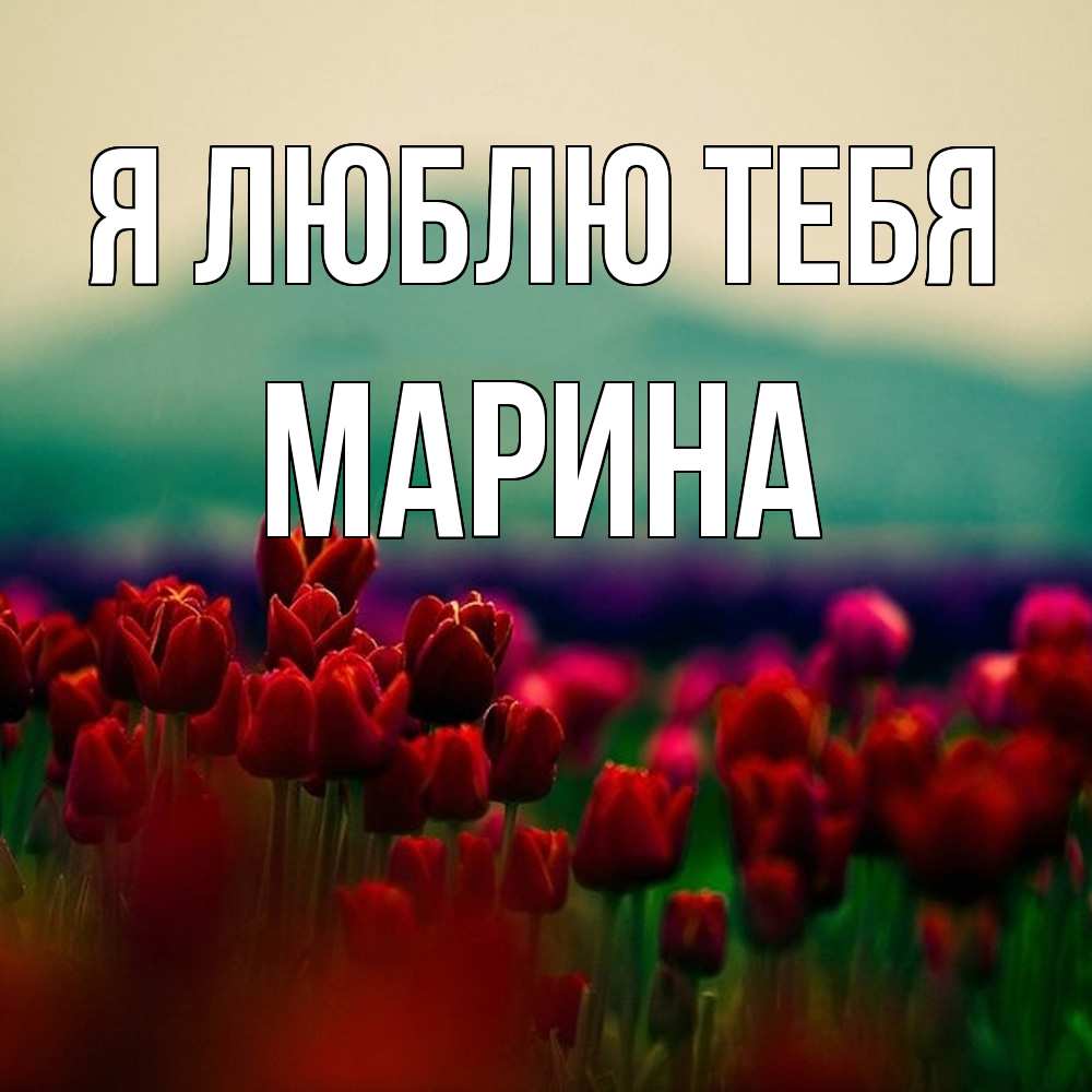 Открытка  с именем. Марина, Я люблю тебя  