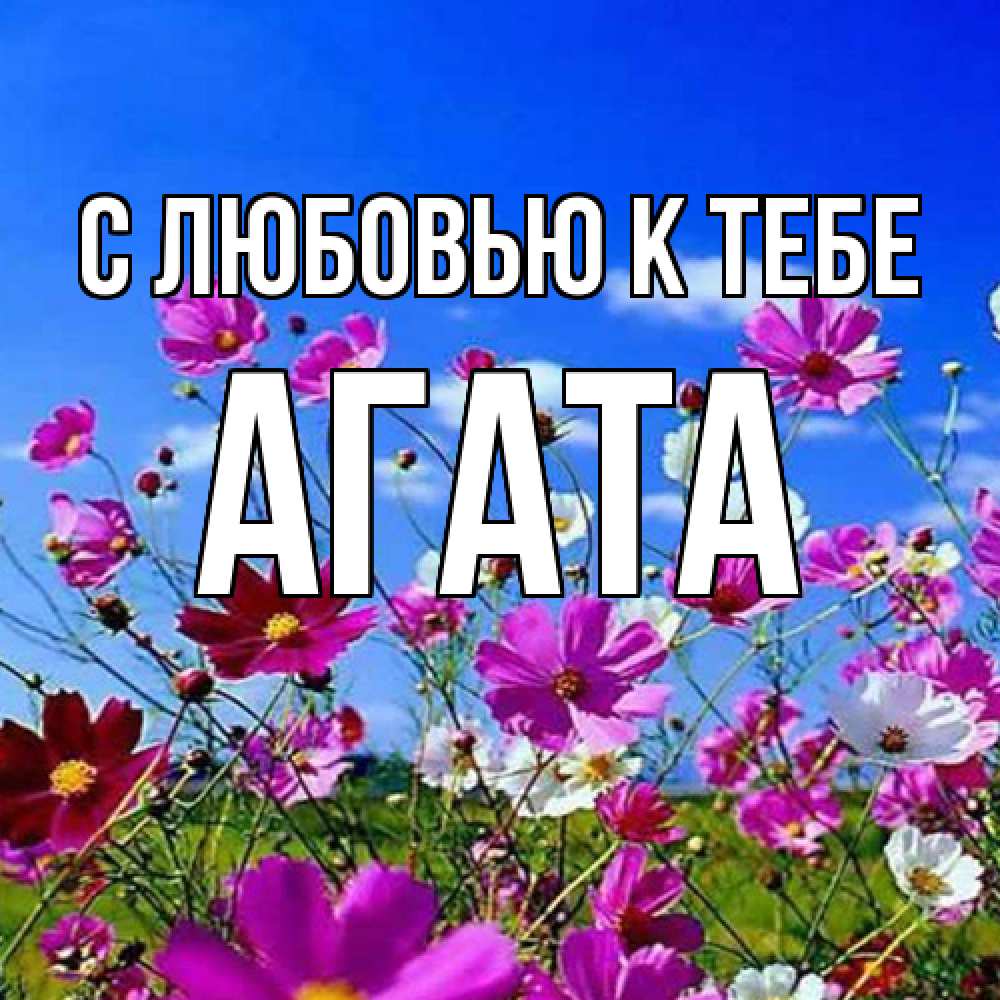 Открытка  с именем. Агата, С любовью к тебе  