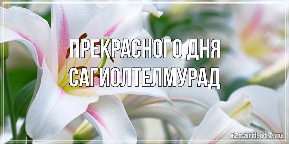 Открытка  с именем. САГИОЛТЕЛМУРАД, Прекрасного дня  