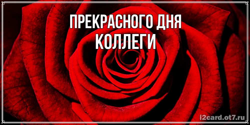 Открытка  с именем. коллеги, Прекрасного дня  