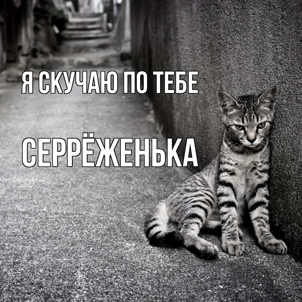 Открытка  с именем. Серрёженька, Я скучаю по тебе  