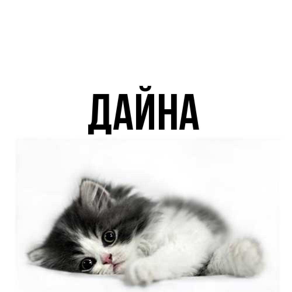 Открытка  с именем. Дайна, Главная  