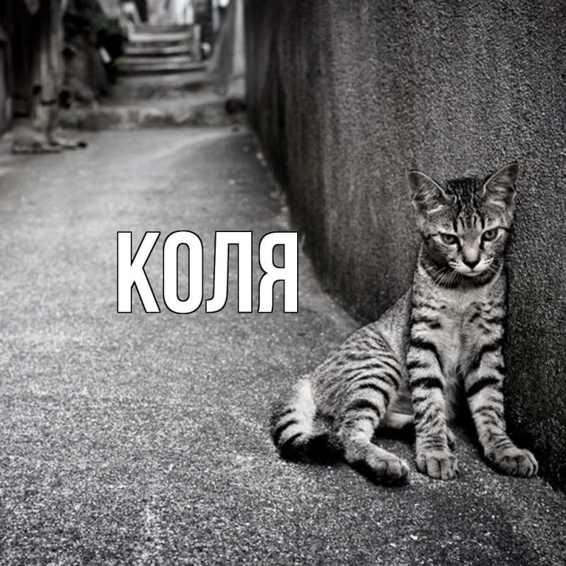 Картинка  с именем , коля