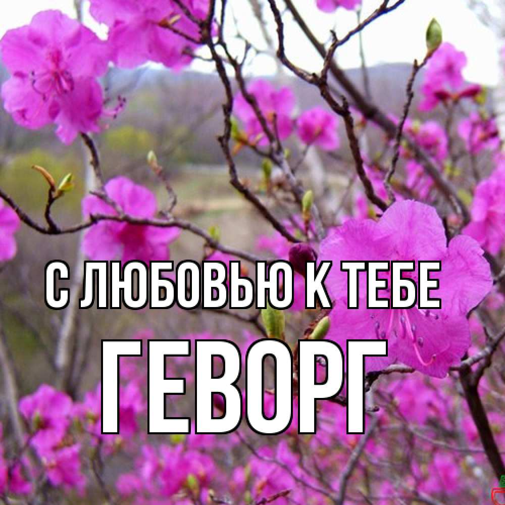 Открытка  с именем. Геворг, С любовью к тебе  