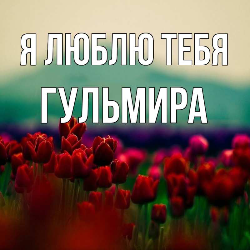 Картинка Я люблю тебя, Гульмира