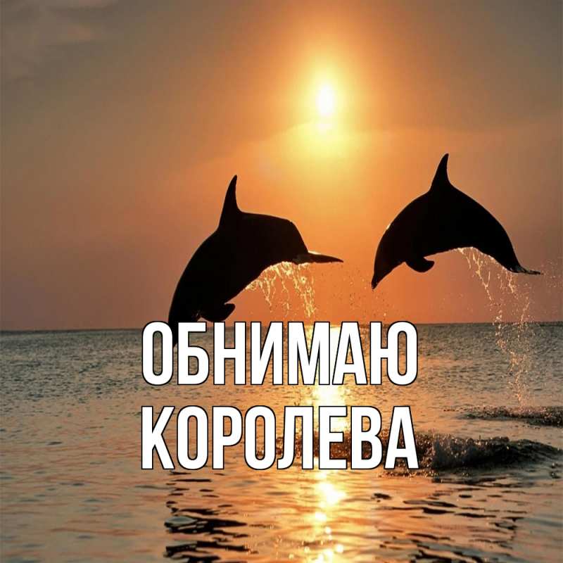 Картинка Обнимаю, Королева