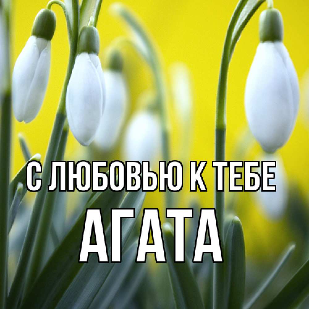 Открытка  с именем. Агата, С любовью к тебе  