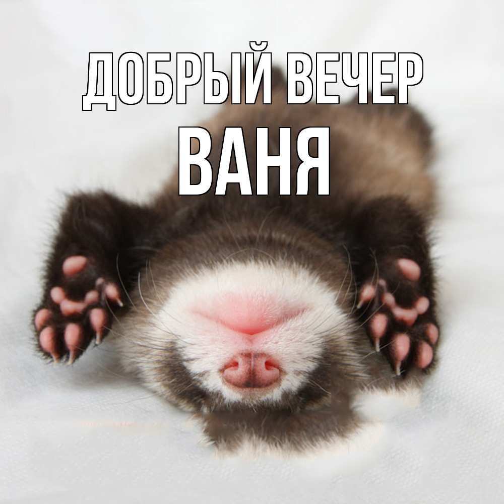 Открытка  с именем. ваня, Добрый вечер  