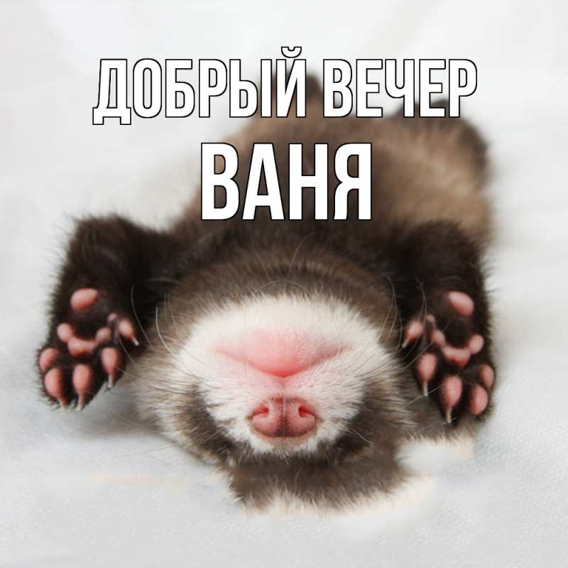 Картинка Добрый вечер, ваня