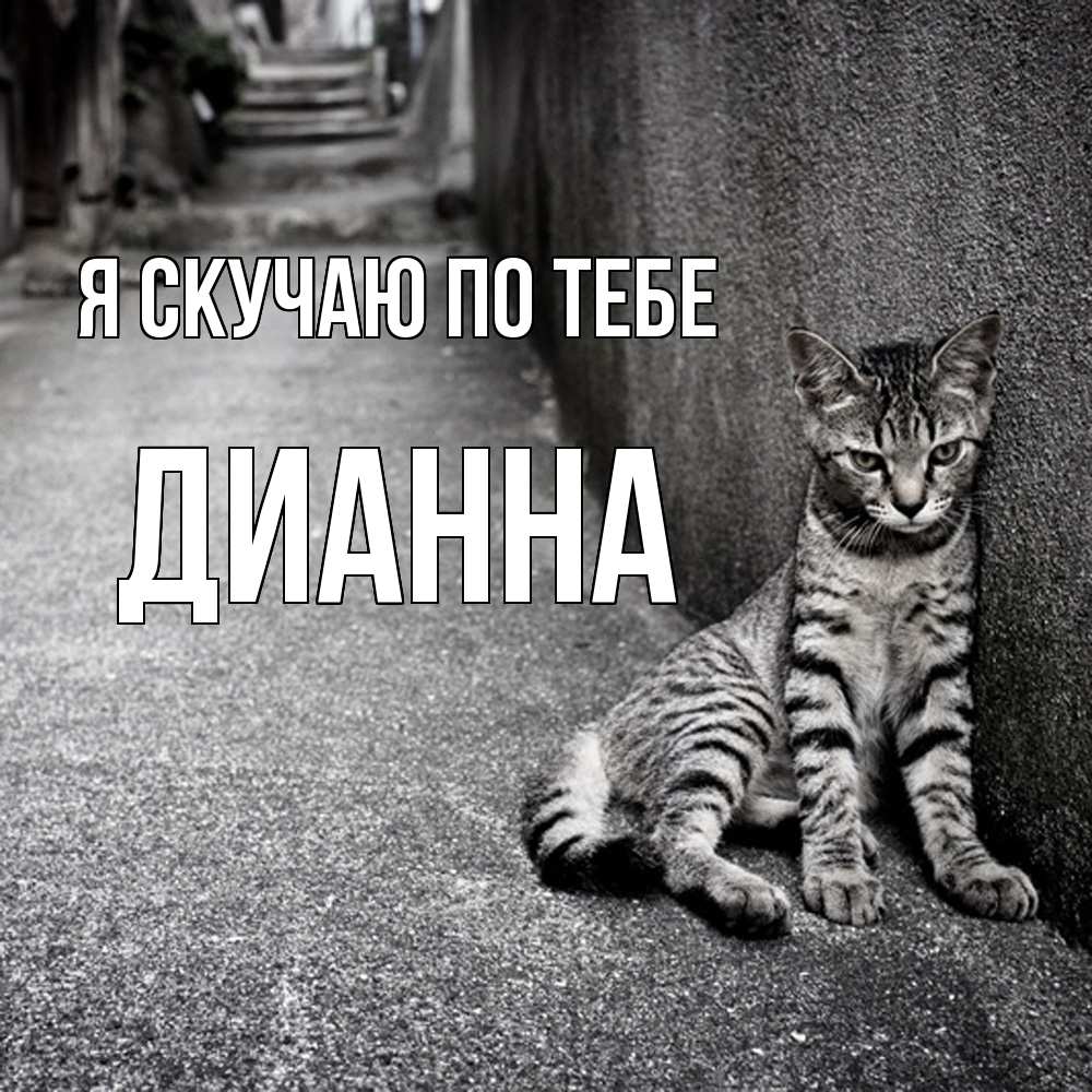 Открытка  с именем. Дианна, Я скучаю по тебе  