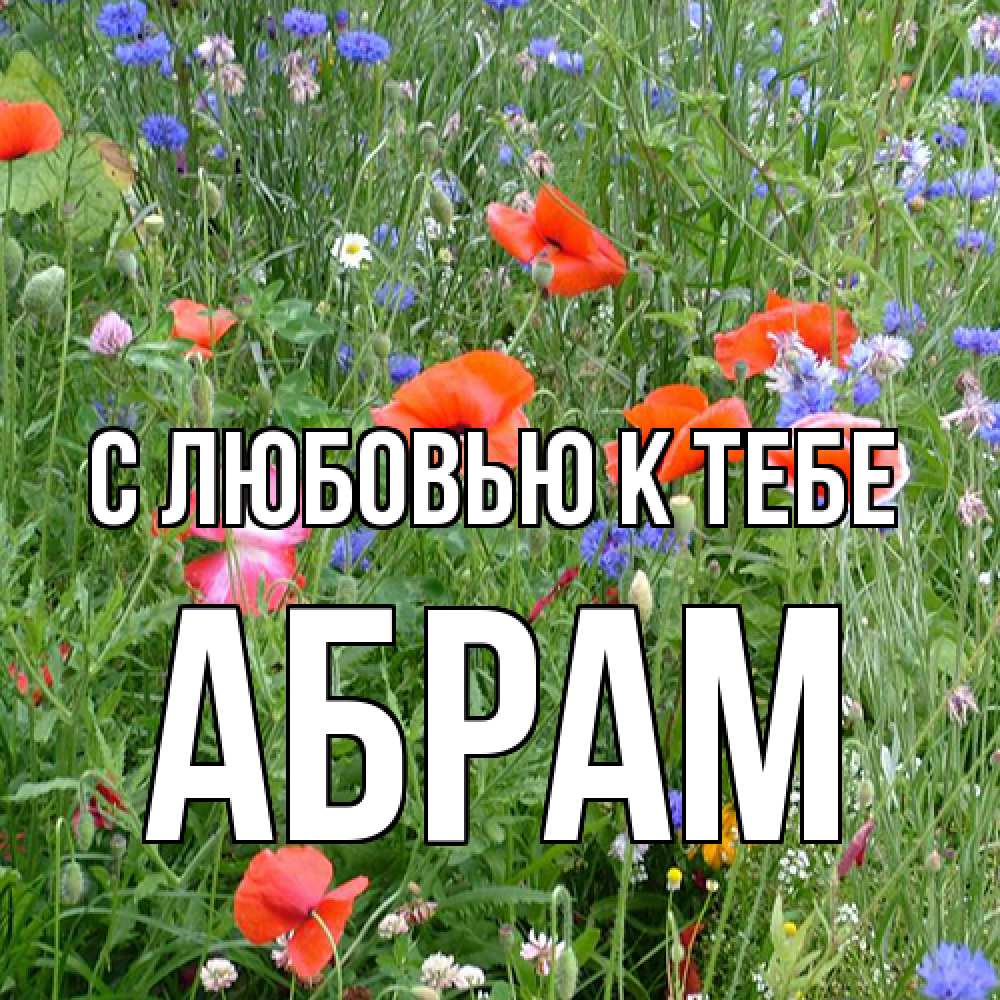 Открытка  с именем. Абрам, С любовью к тебе  