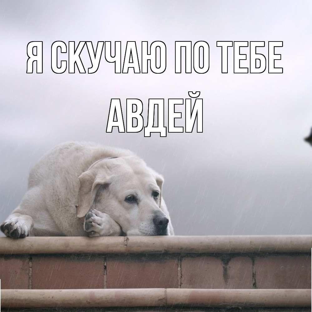 Открытка  с именем. Авдей, Я скучаю по тебе  