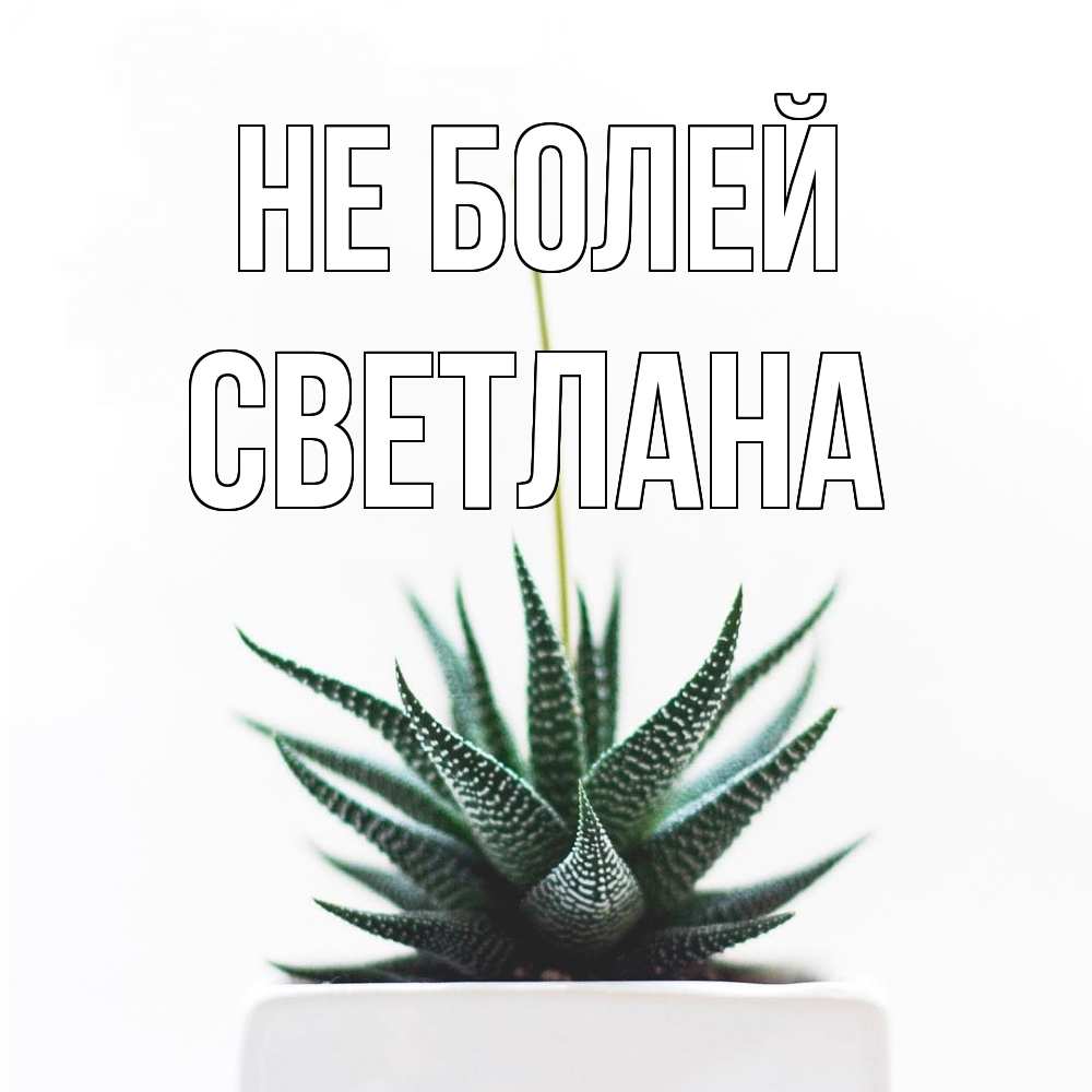 Открытка  с именем. Светлана, Не болей  