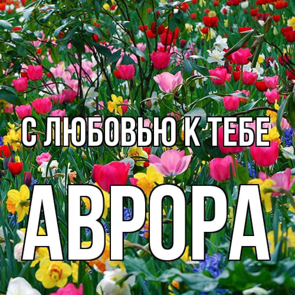 Открытка  с именем. Аврора, С любовью к тебе  