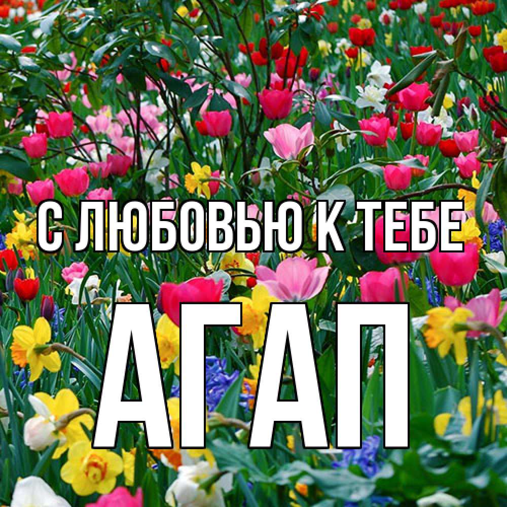 Открытка  с именем. Агап, С любовью к тебе  