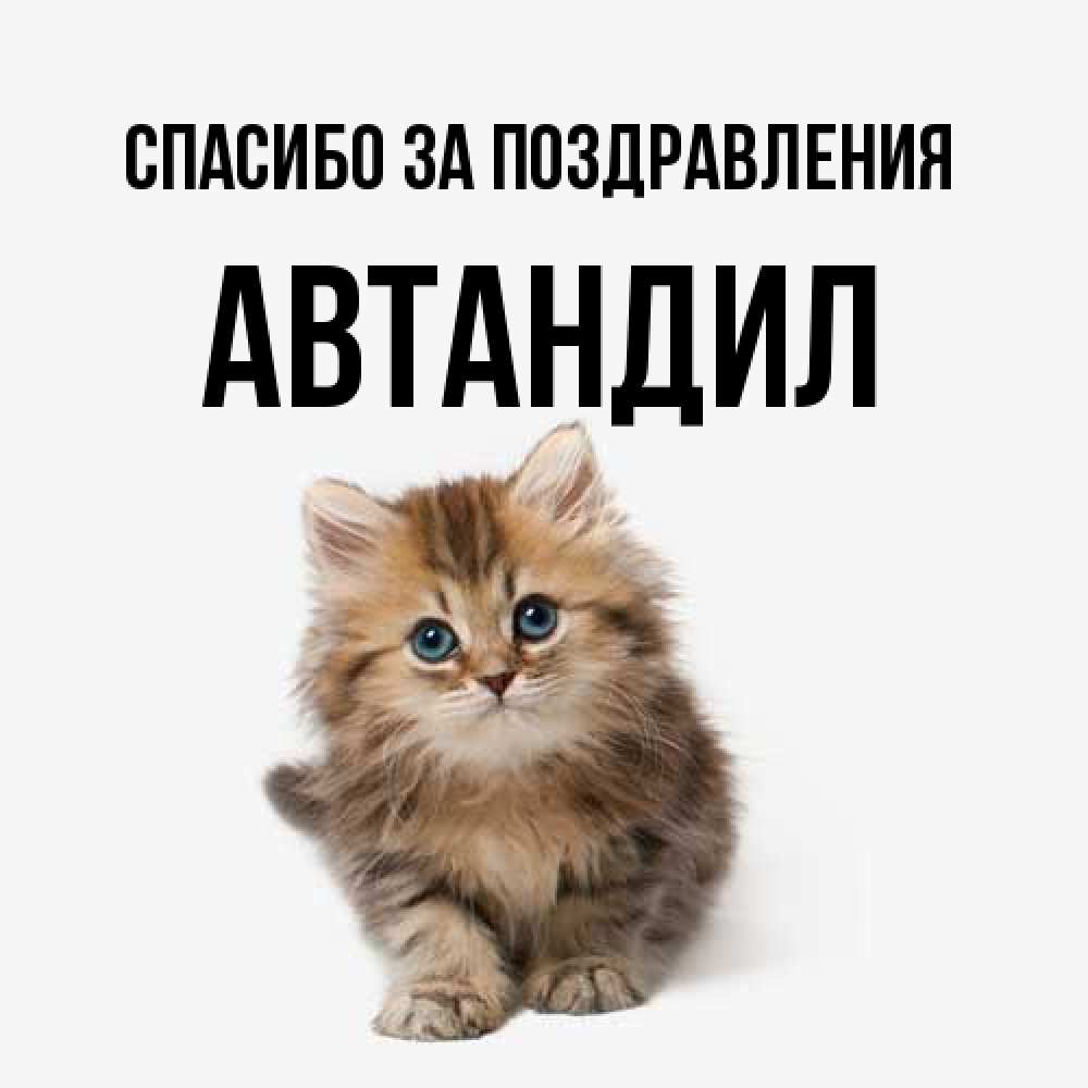 Открытка  с именем. Автандил, Спасибо за поздравления  