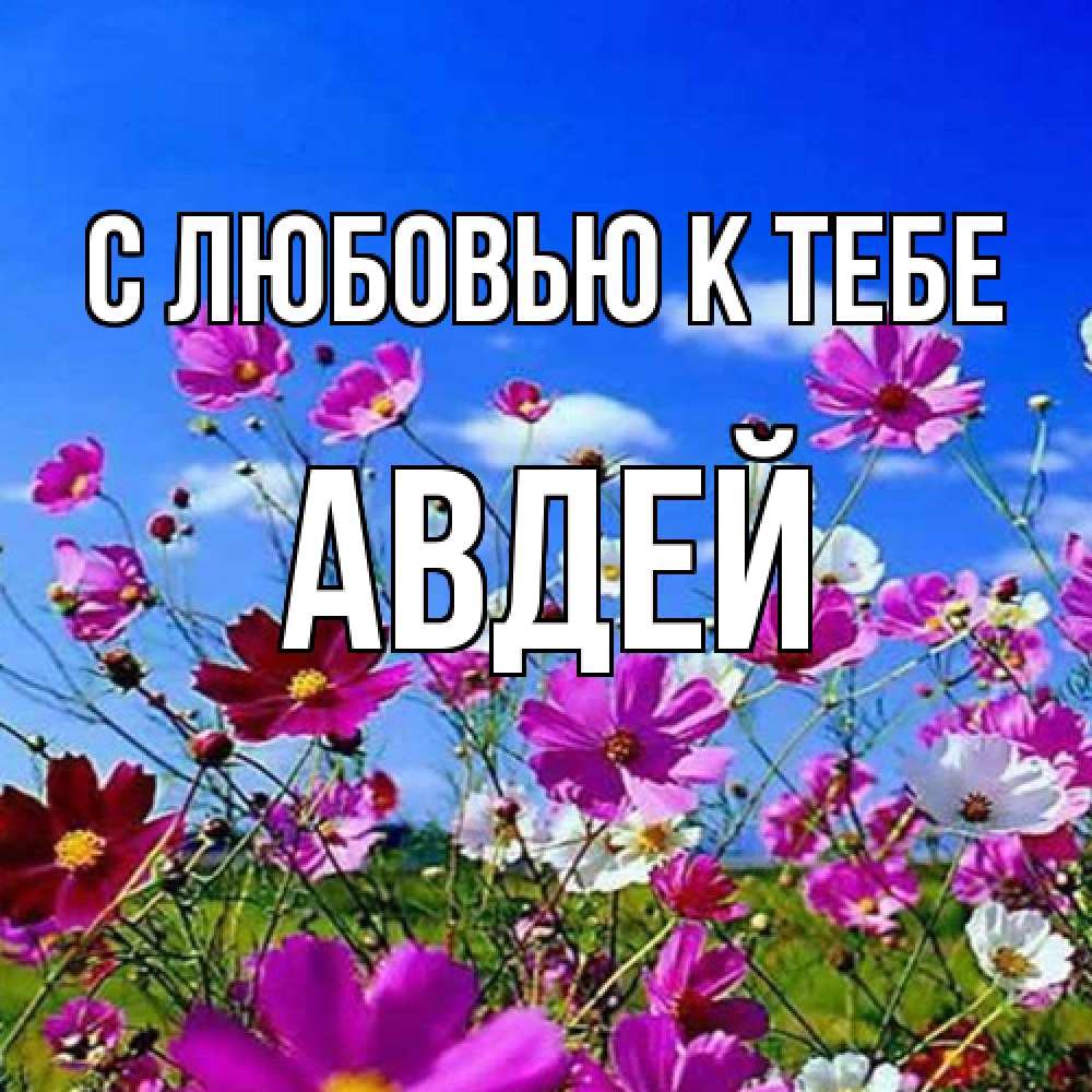 Открытка  с именем. Авдей, С любовью к тебе  