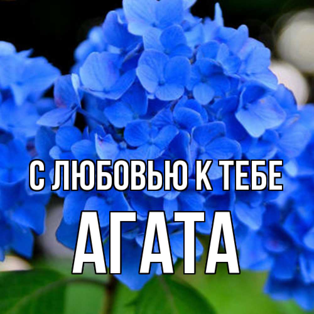 Открытка  с именем. Агата, С любовью к тебе  