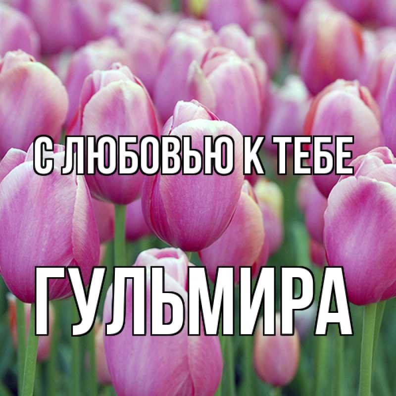 Картинка С любовью к тебе, Гульмира
