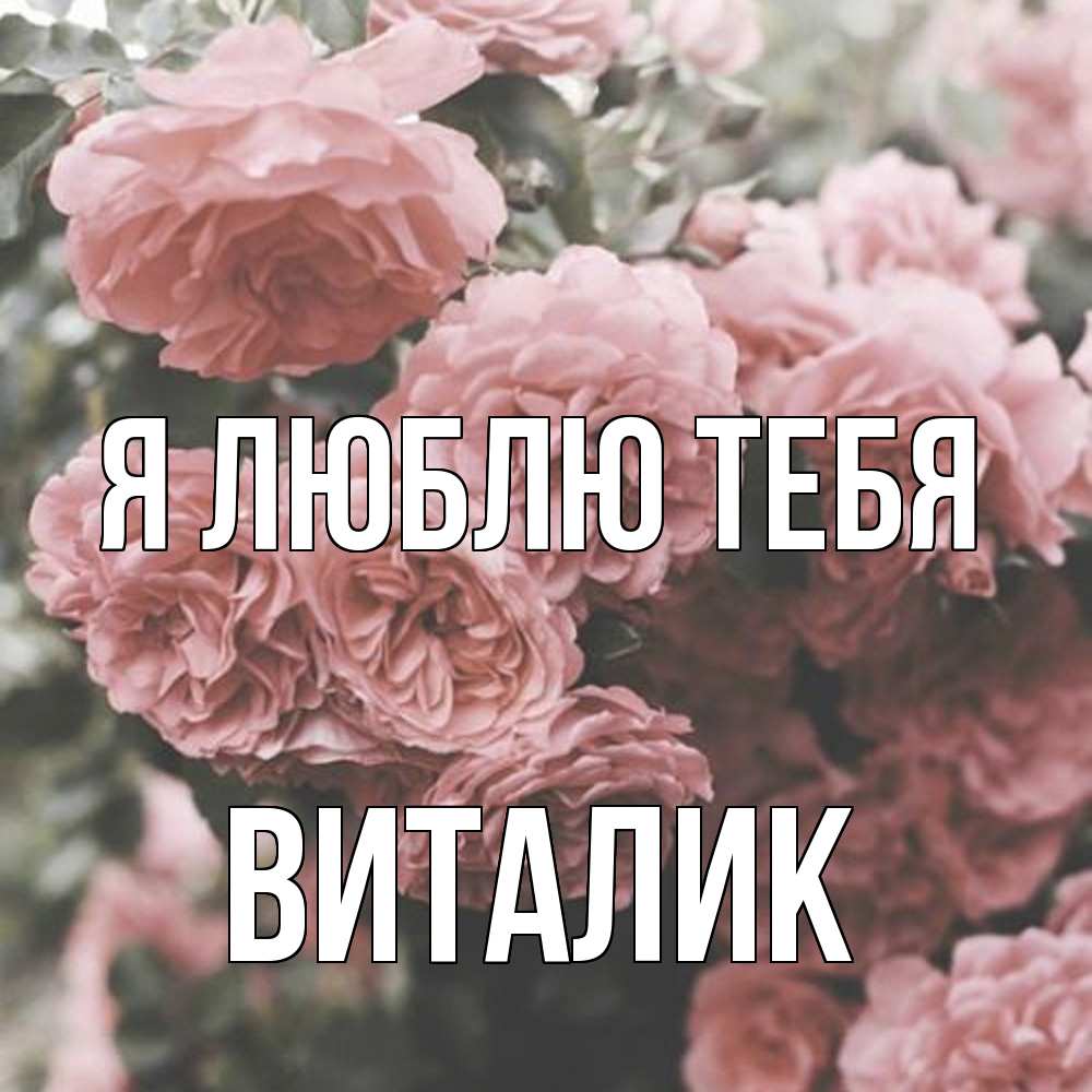 Открытка  с именем. Виталик, Я люблю тебя  