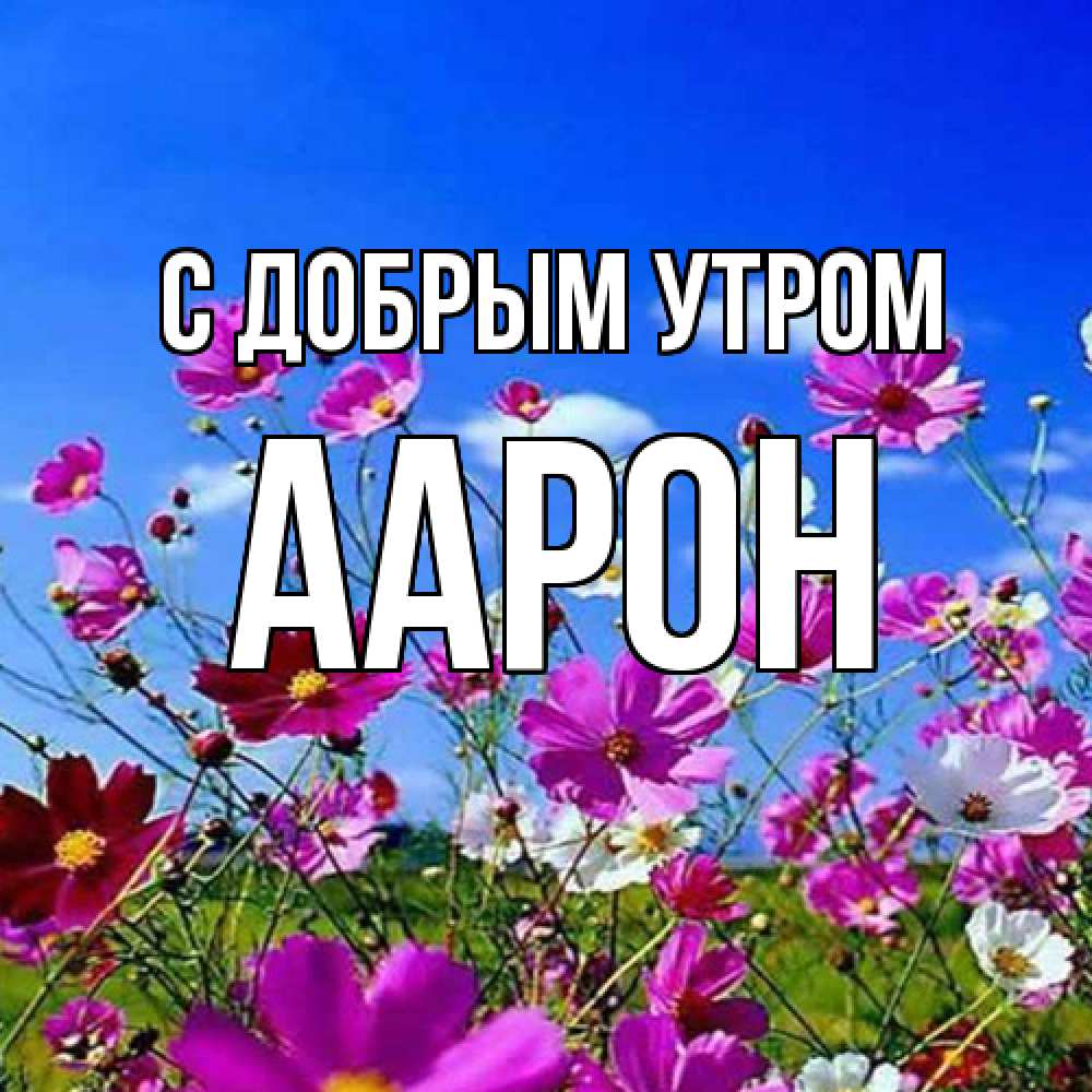 Открытка  с именем. Аарон, С добрым утром  