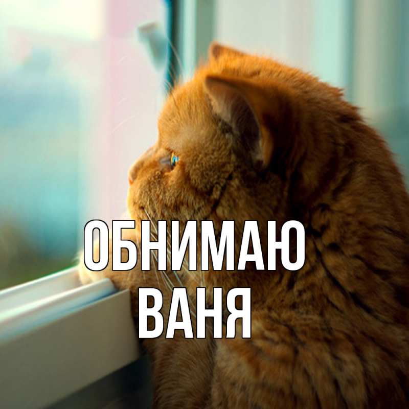 Картинка Обнимаю, ваня