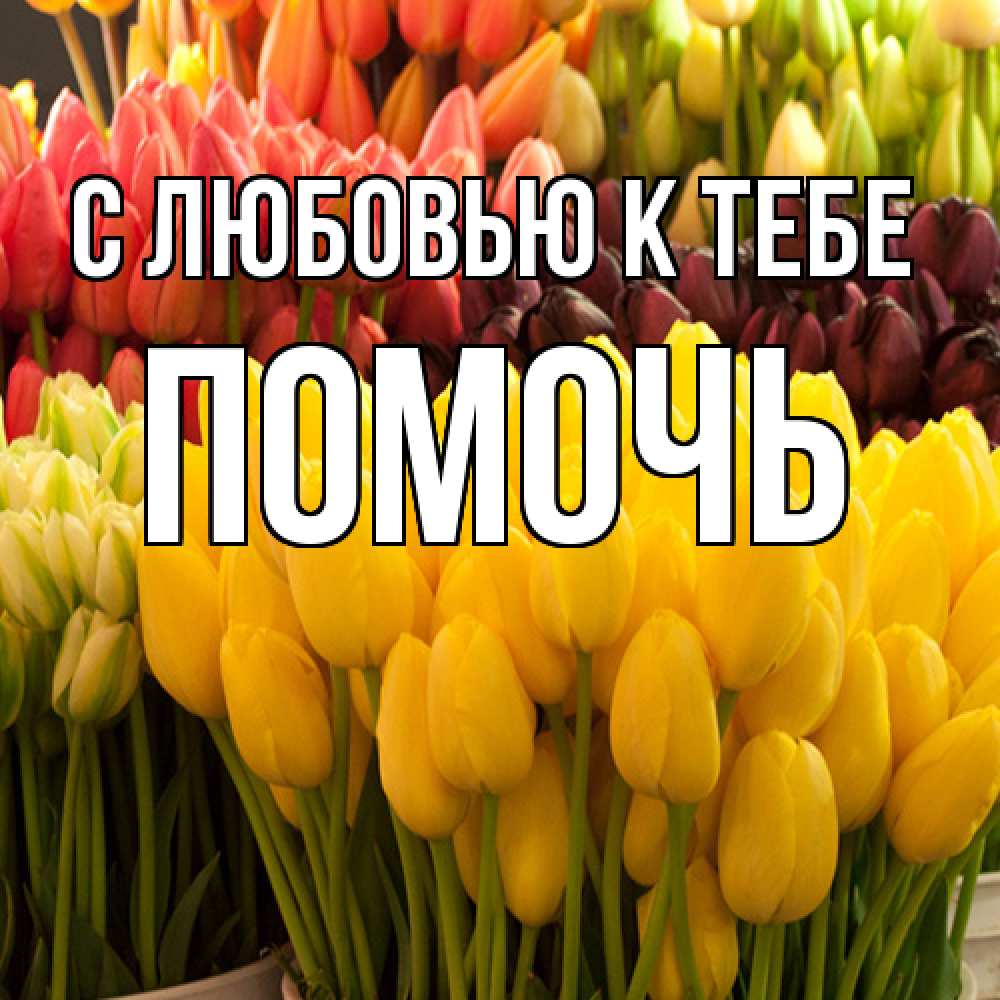 Открытка  с именем. Помочь, С любовью к тебе  
