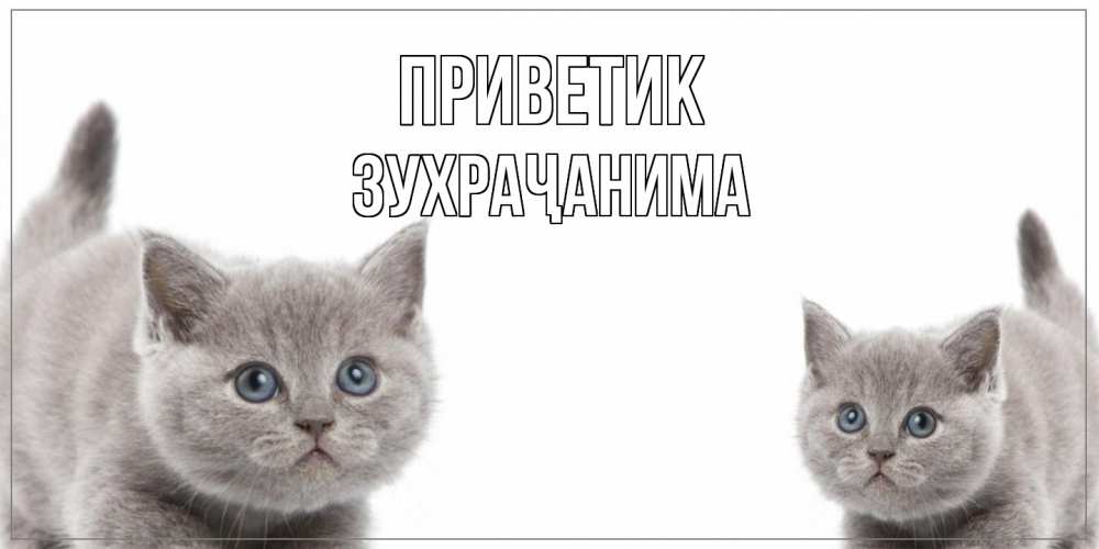 Открытка  с именем. Зухраҷанима, приветик  