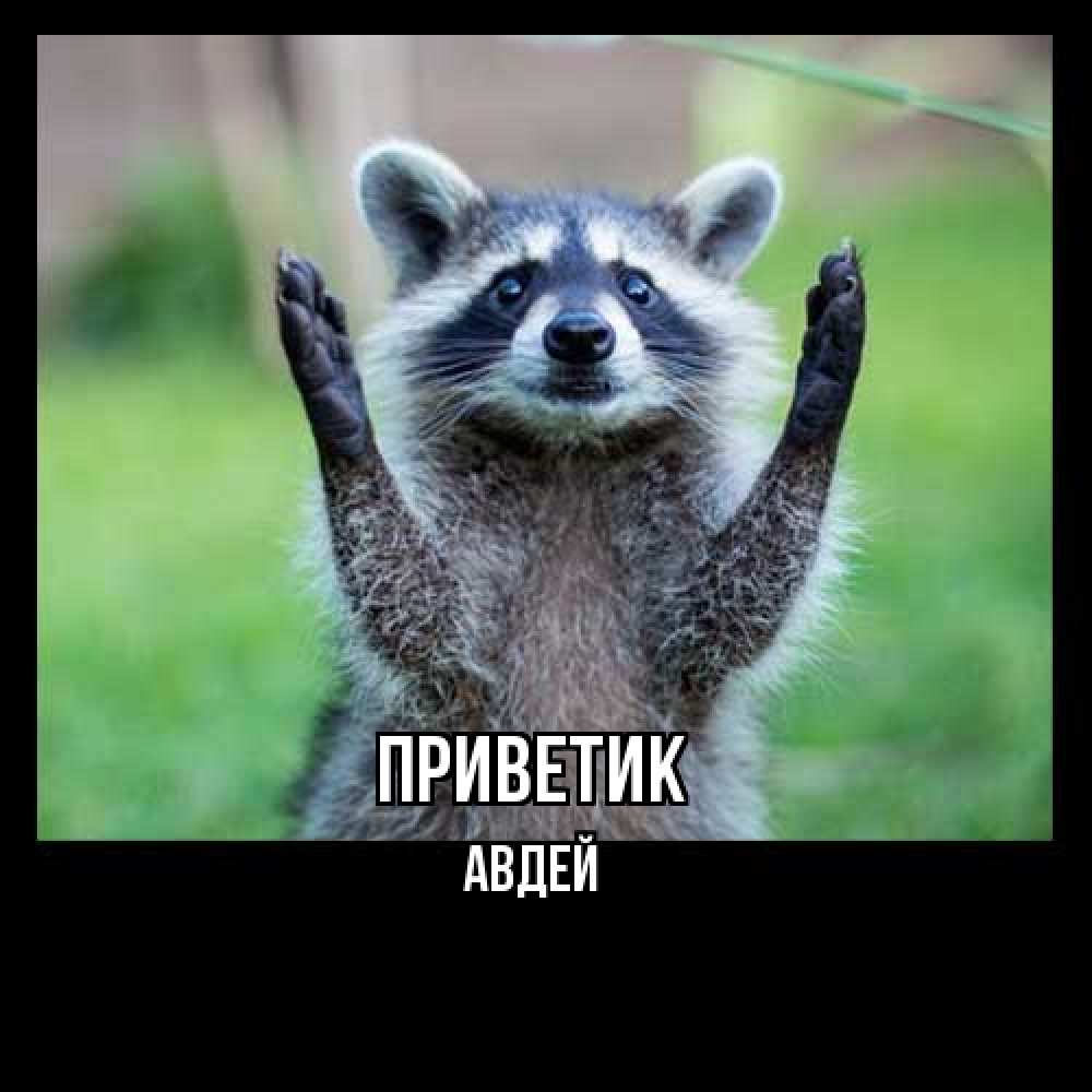 Открытка  с именем. Авдей, приветик  