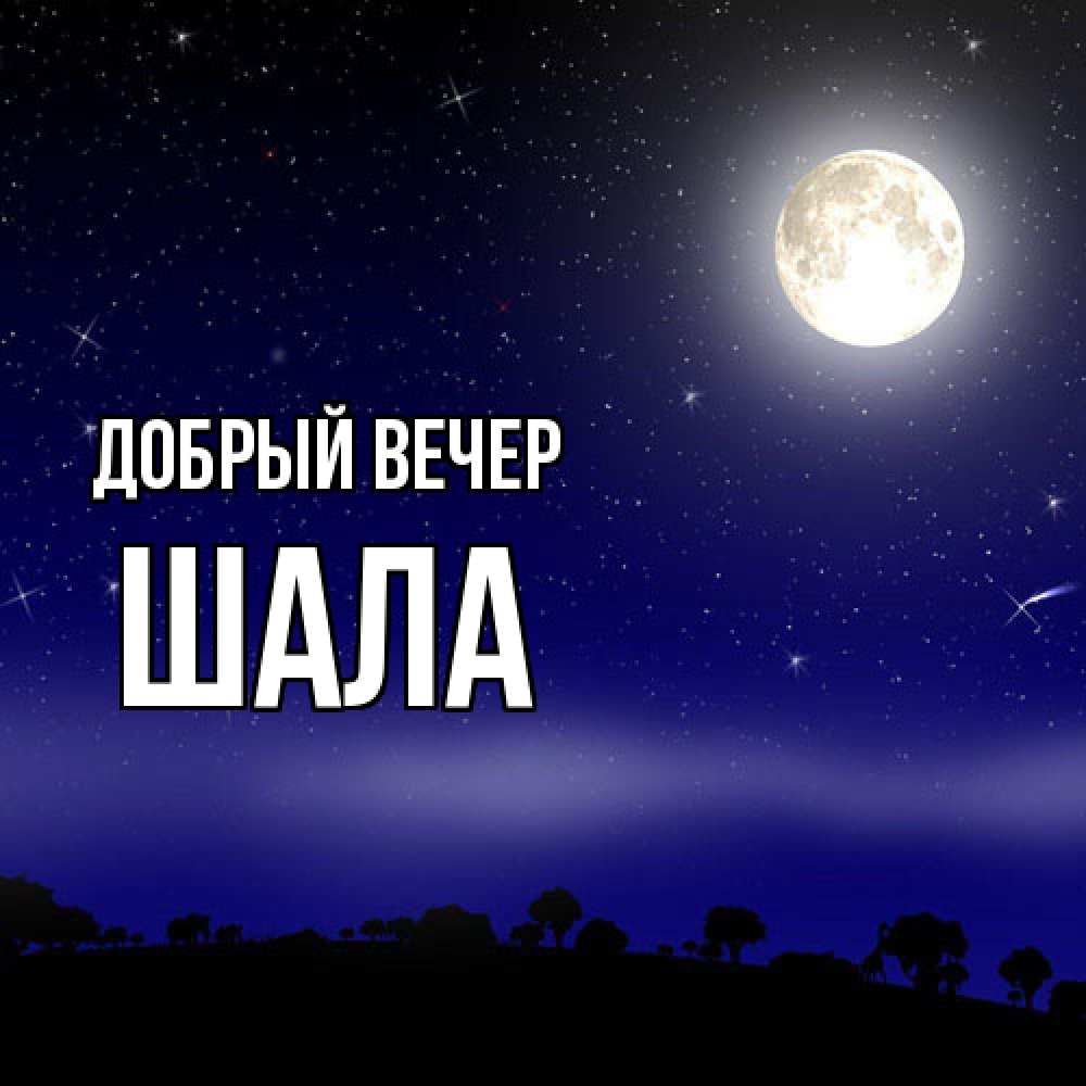 Открытка  с именем. Шала, Добрый вечер  