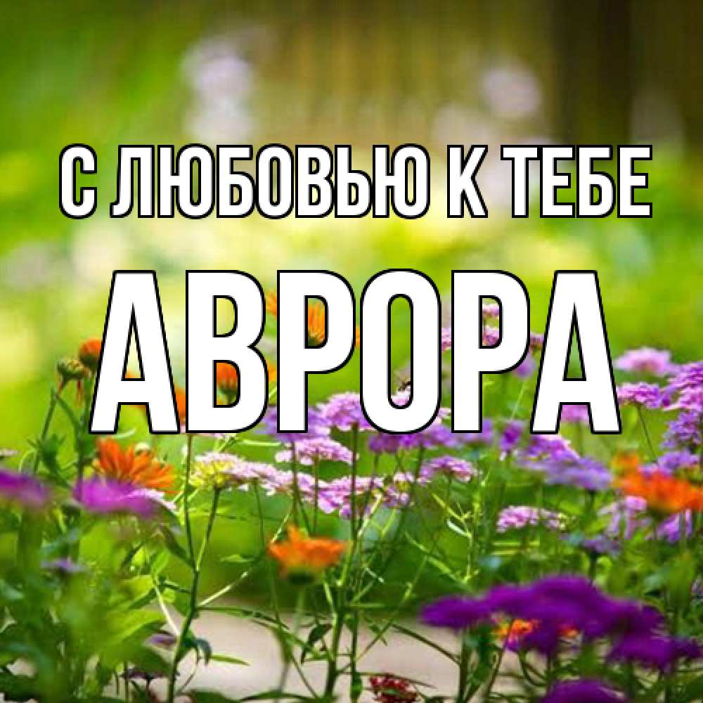 Открытка  с именем. Аврора, С любовью к тебе  