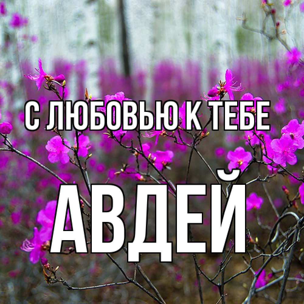 Открытка  с именем. Авдей, С любовью к тебе  